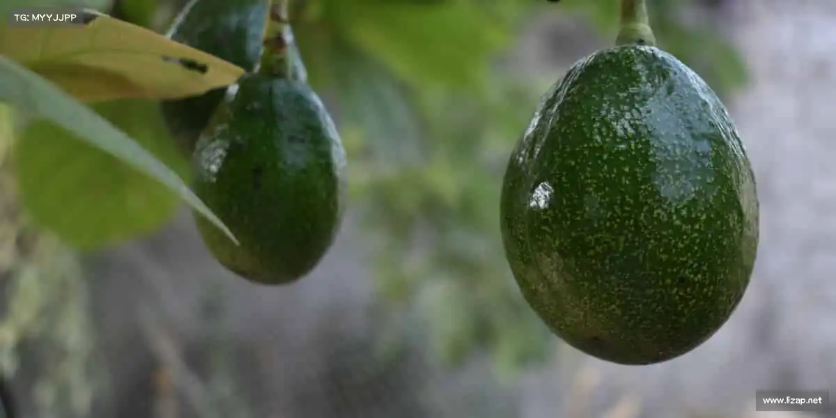 米兰milan💪汗水铸就热爱，这里是属于你的活力舞台！